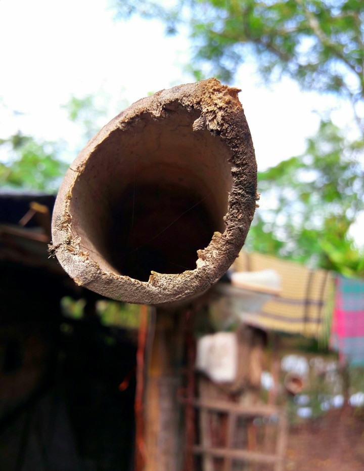 Bamboo hole