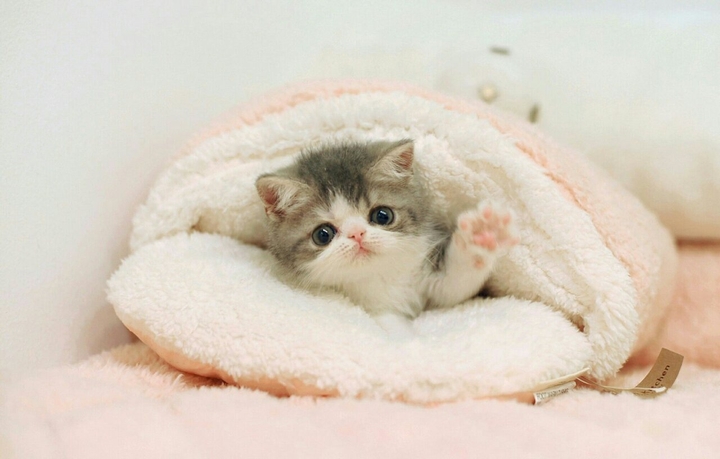 Help me by likeing!