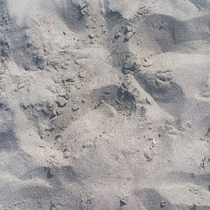 Just Sand