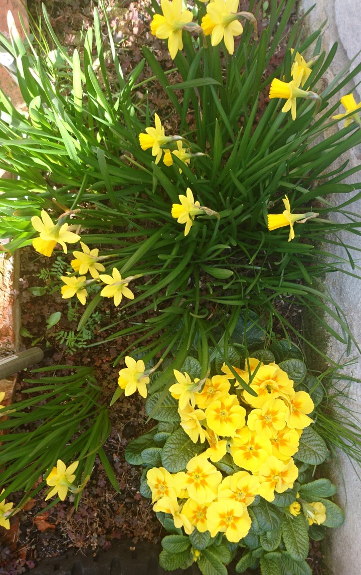 Frühling