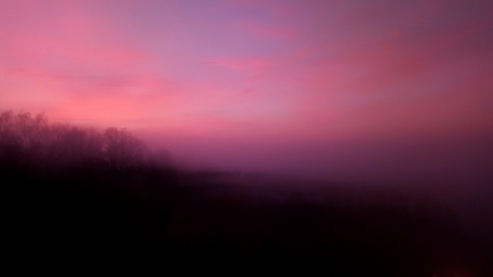 Cotton candy