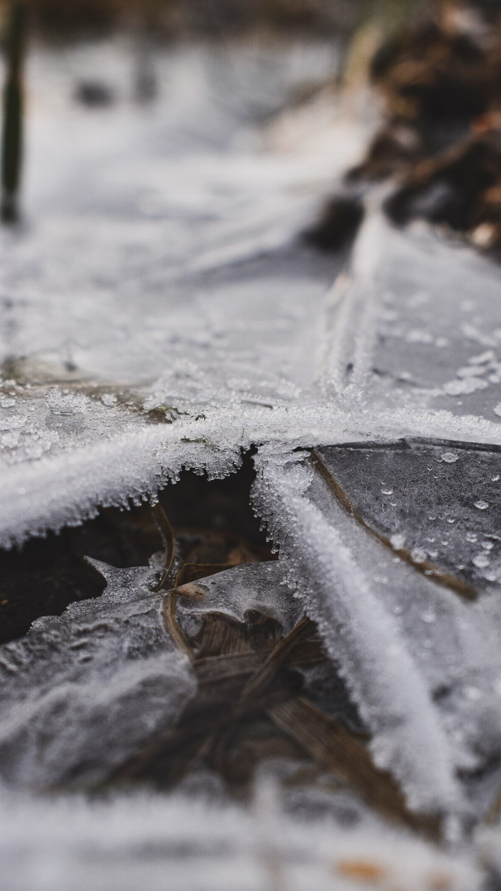 ice