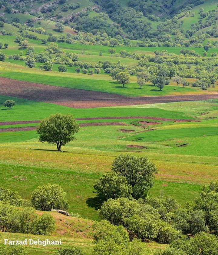 ایران
