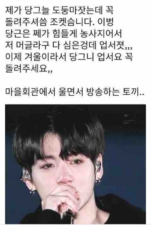 토끼 정국이