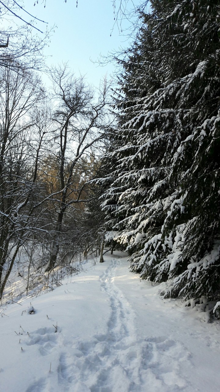 Serce roztocza