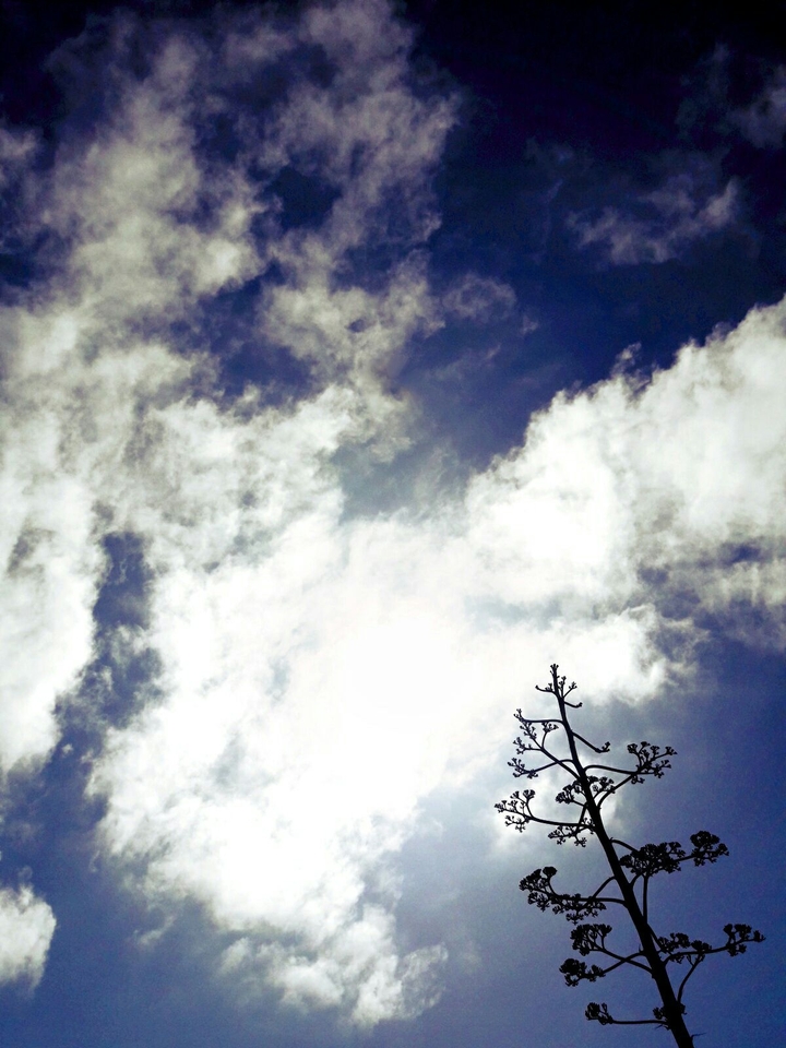 Monday blues