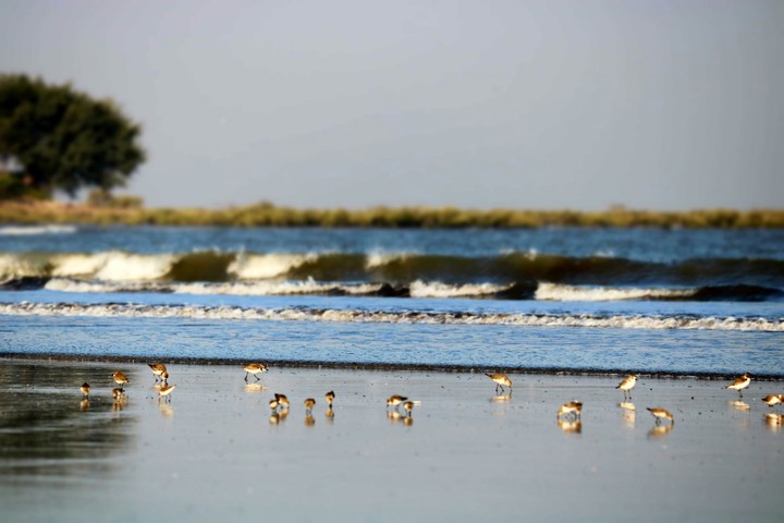 Morning at beach