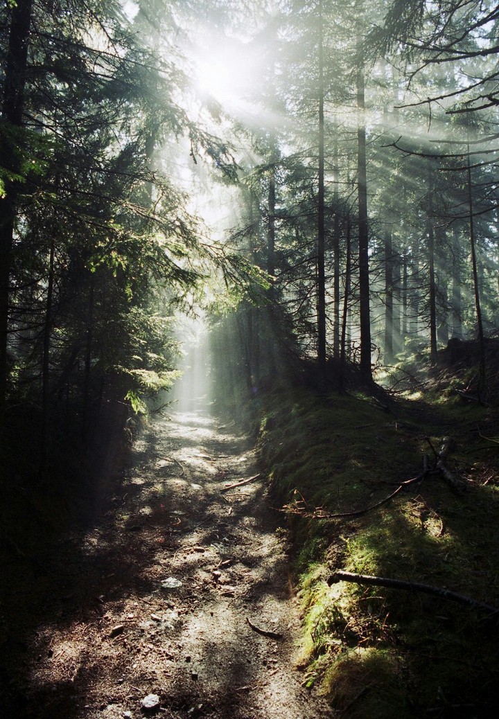 Sun rays