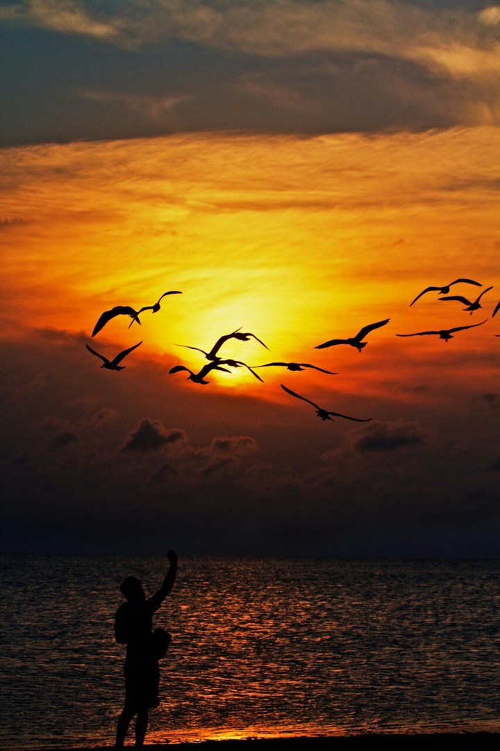 sunset