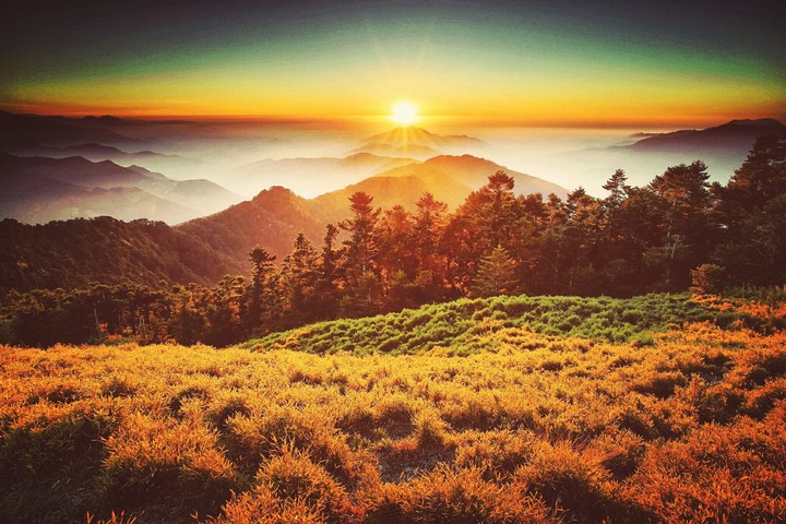 nature