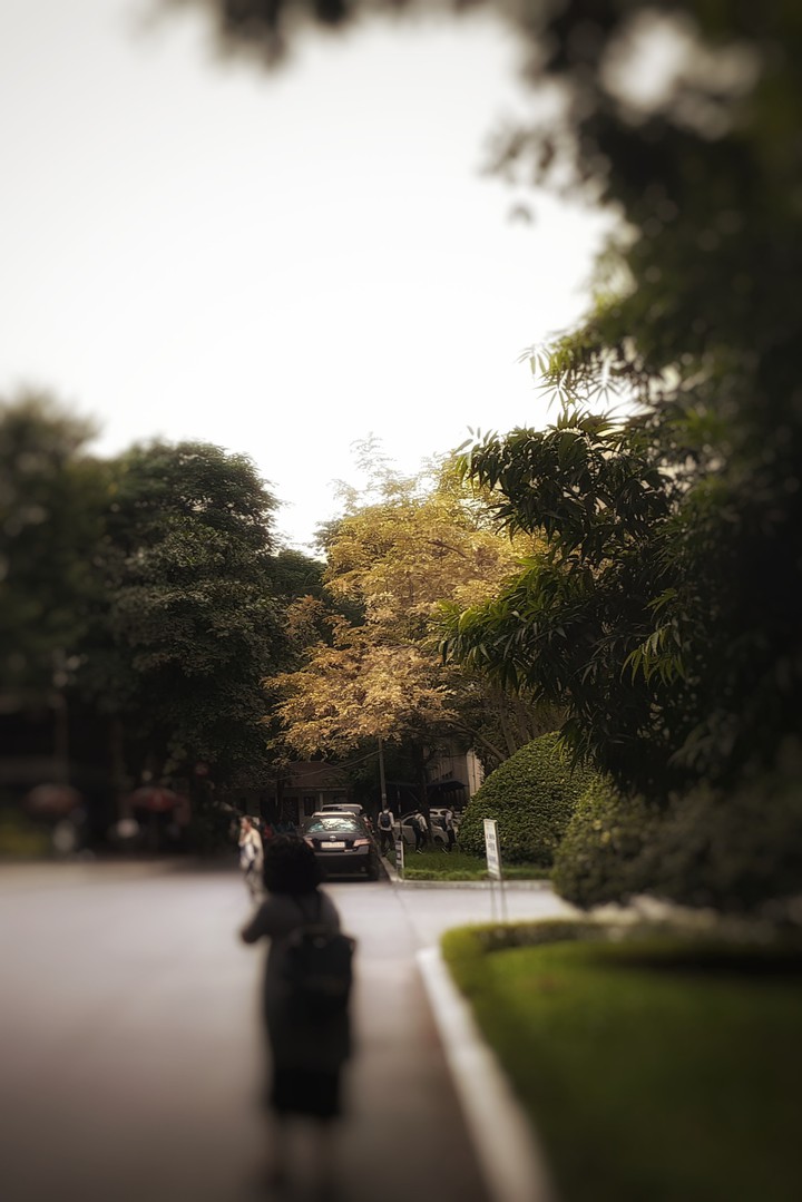 Autumn or Summer ?