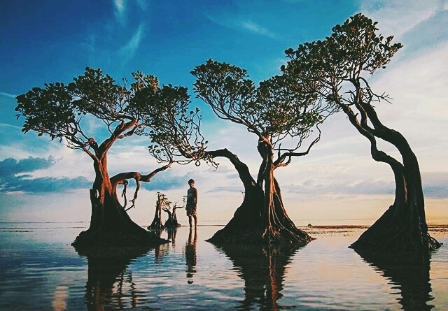 Find peace here