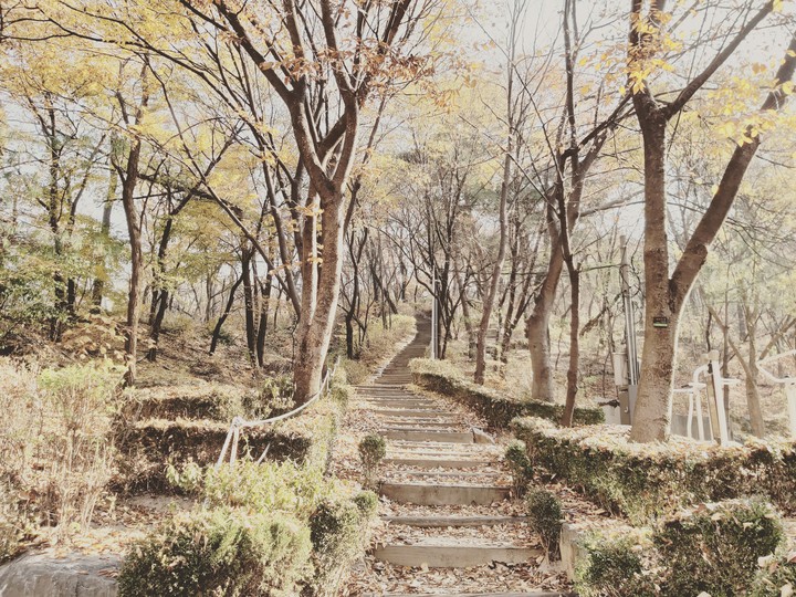 늦가을