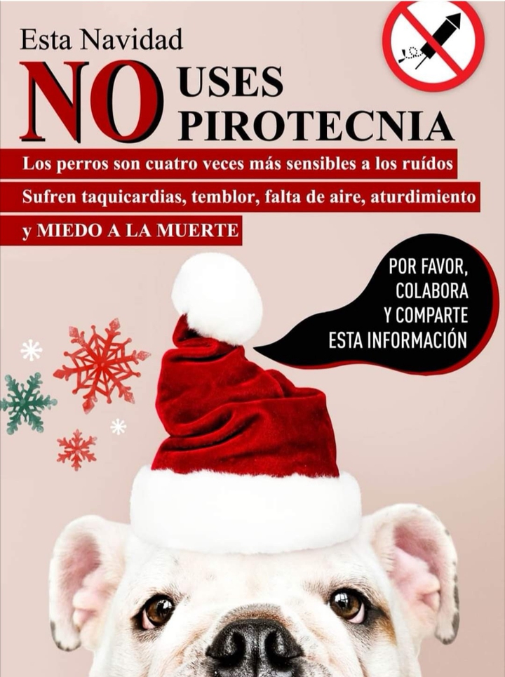 Please do something for your pet