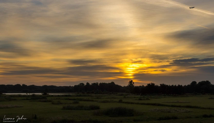 Golden glow