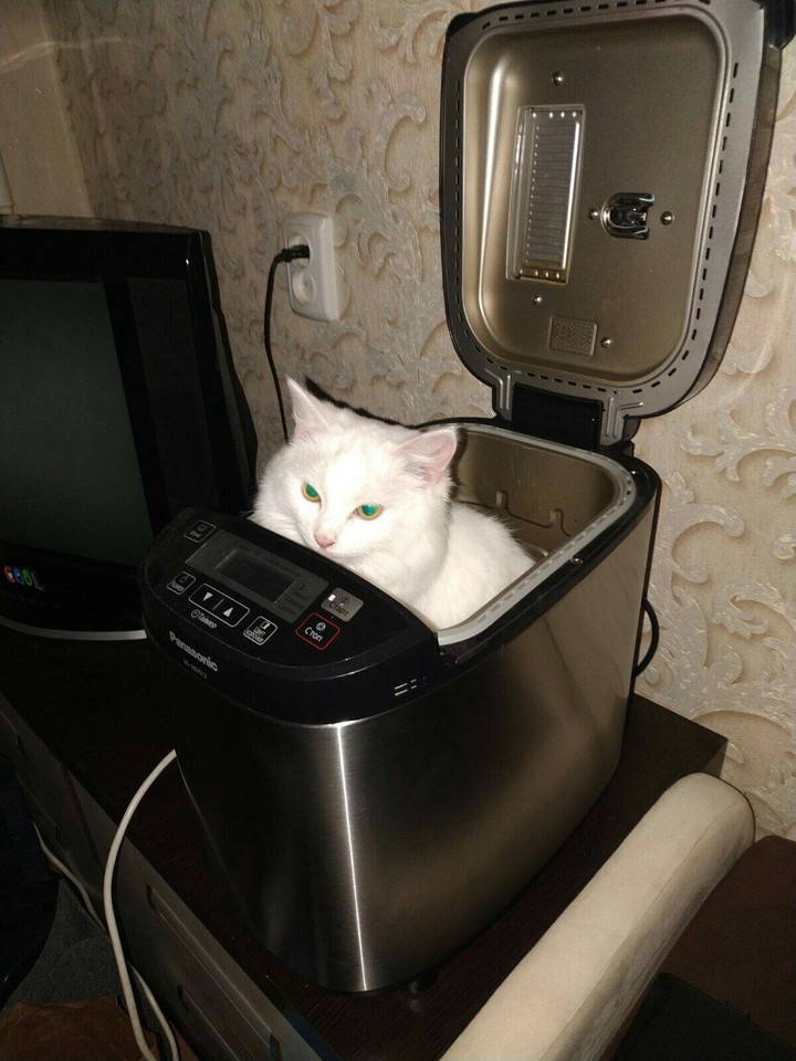 ноо