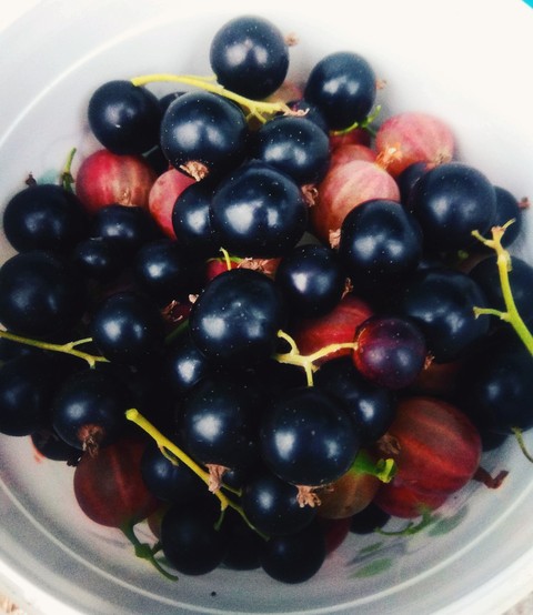Berries