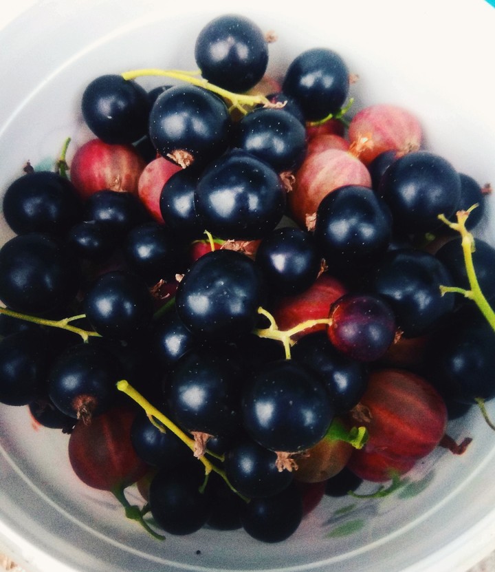 Berries