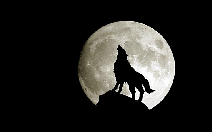 moon