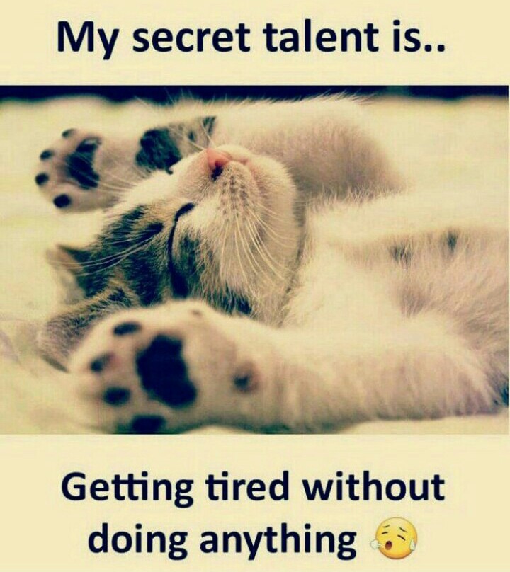 Attitude