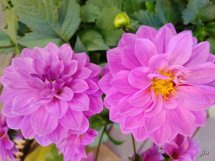 .