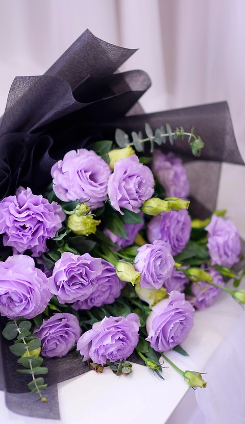 papéis de parede plant, violet