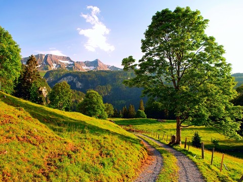 Switzerland
