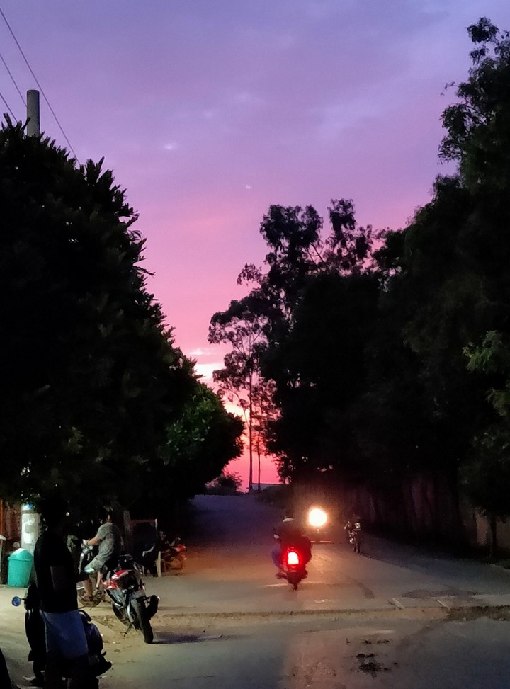 Purple sky