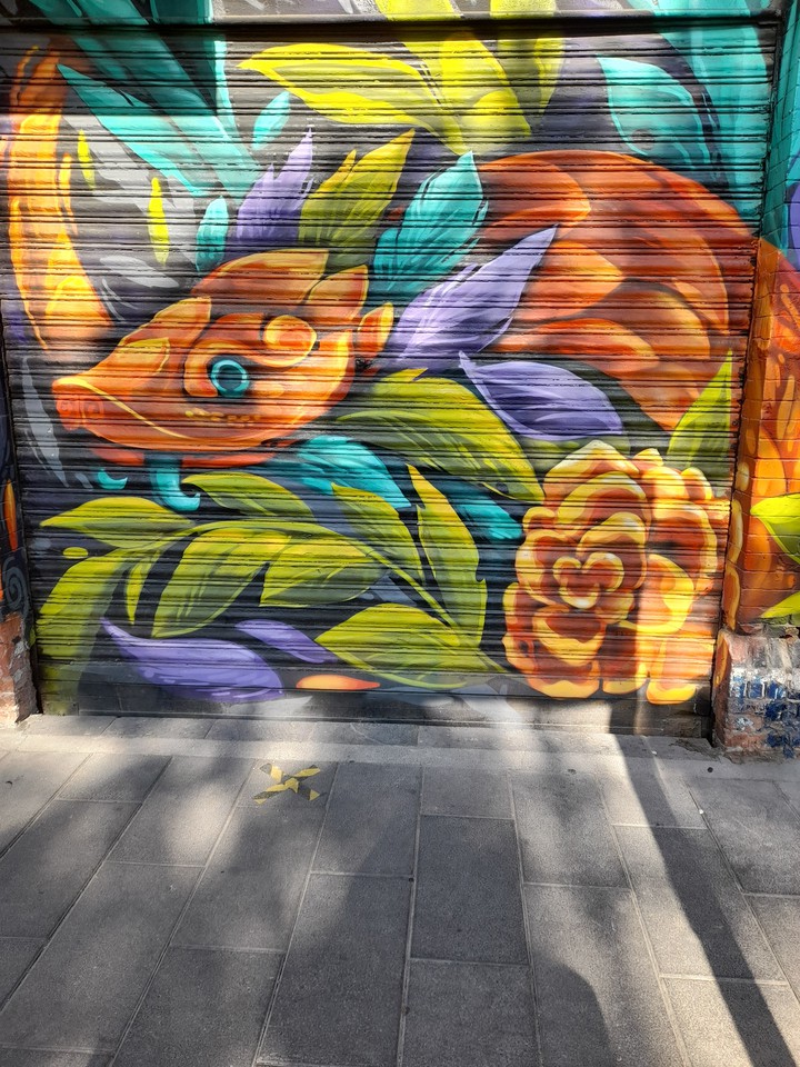Fish of colors