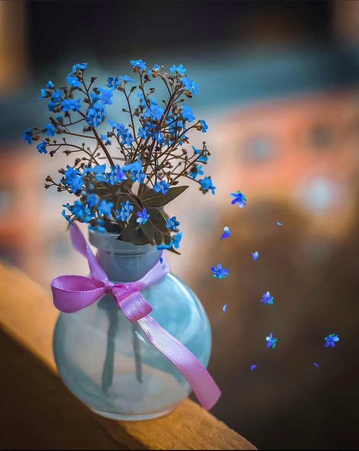 Forgetmenot