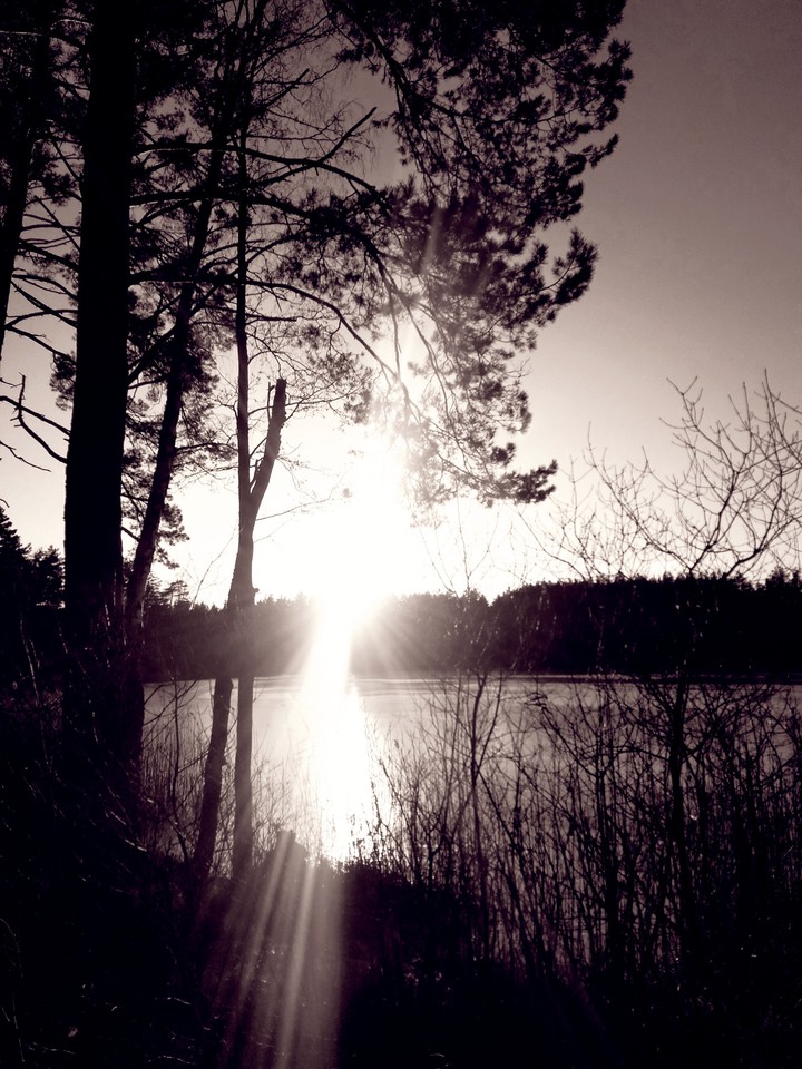 Lake