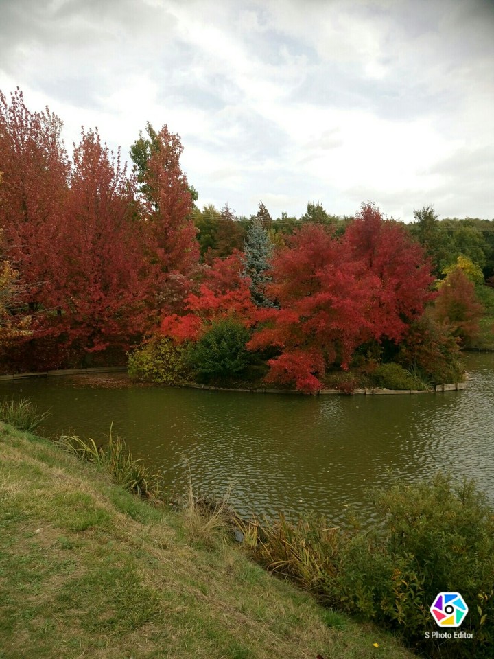 au parc...