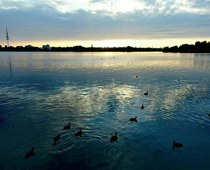 The river Elbe in Hamburg gifts us a beautiful view
