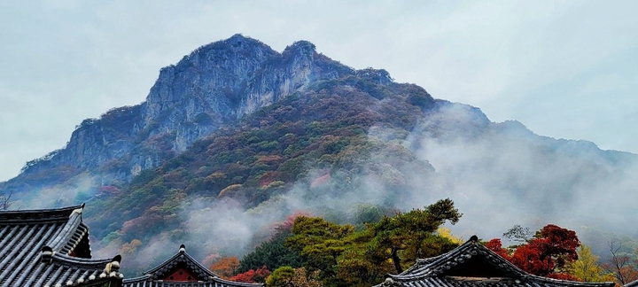 산사의 안개