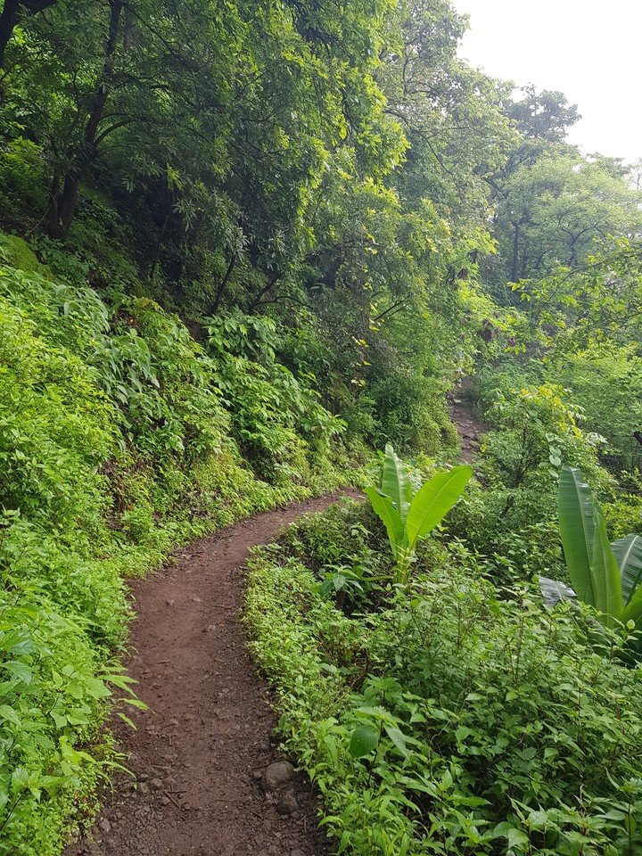 Hidden Trails