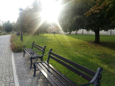 benches