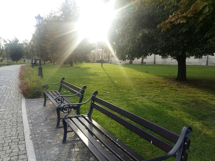 benches