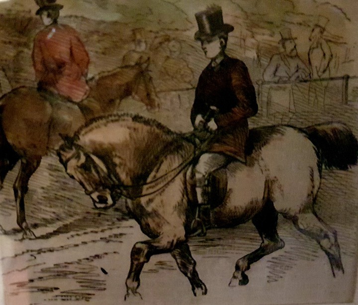 disegno