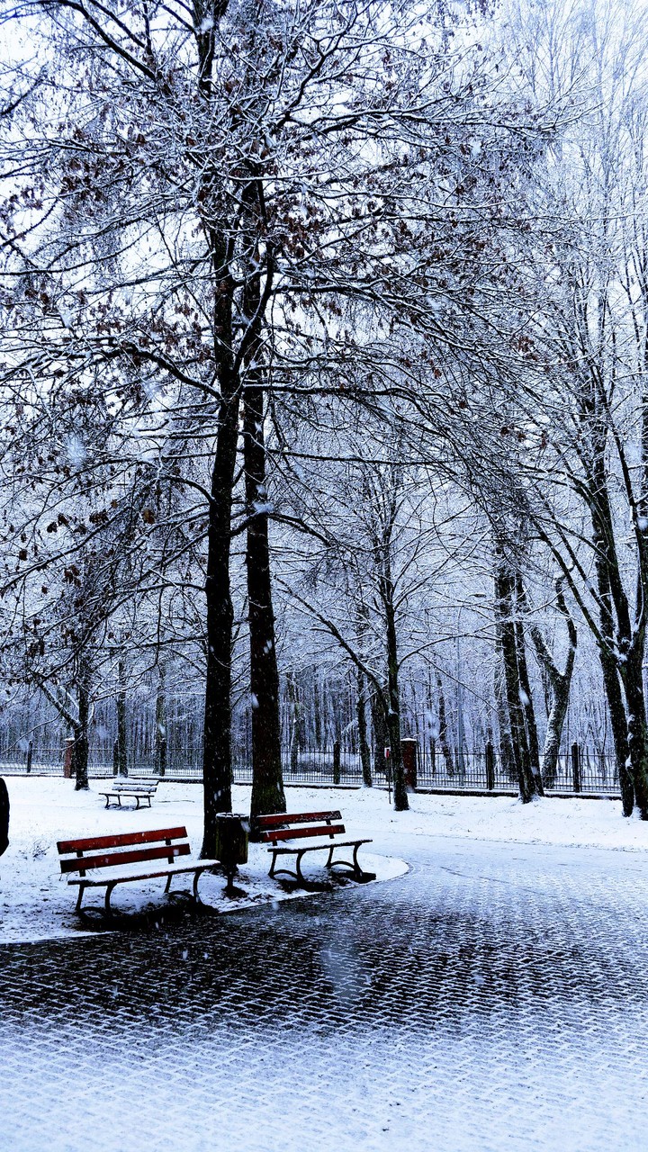 Winter