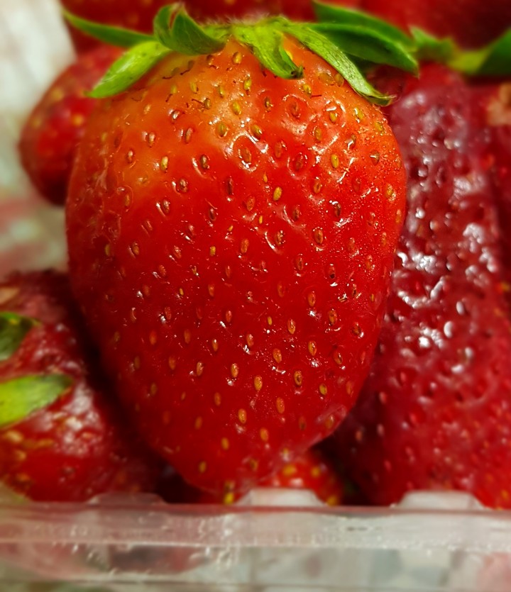 strawberry 