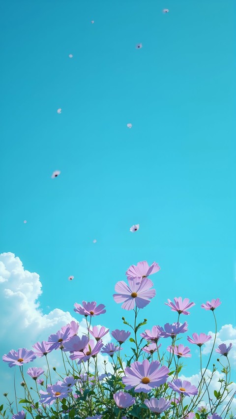 тапети cosmos, spring