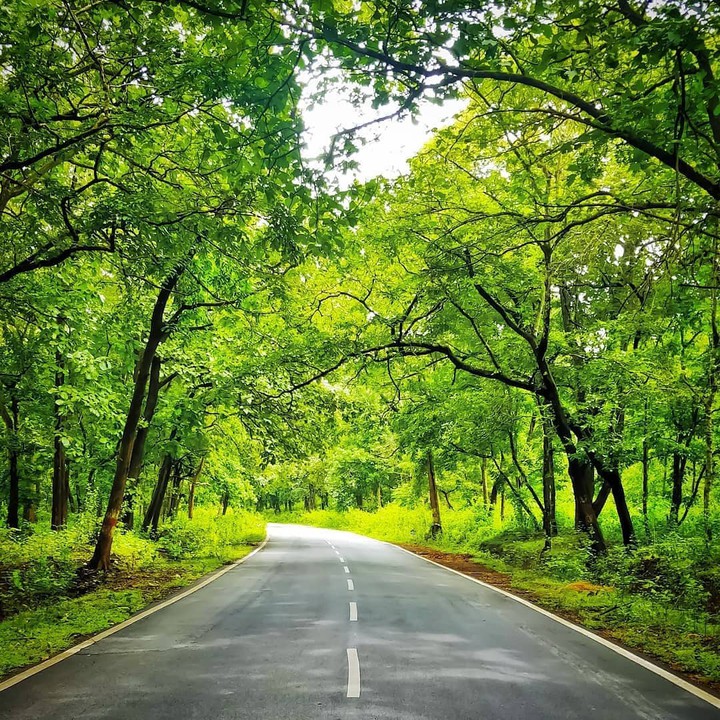 road