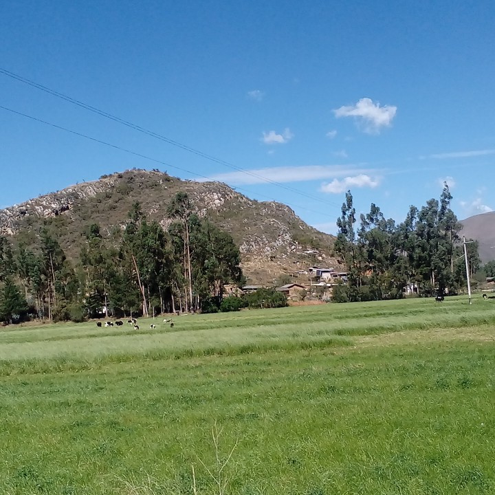 Valle