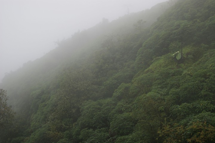 Nature