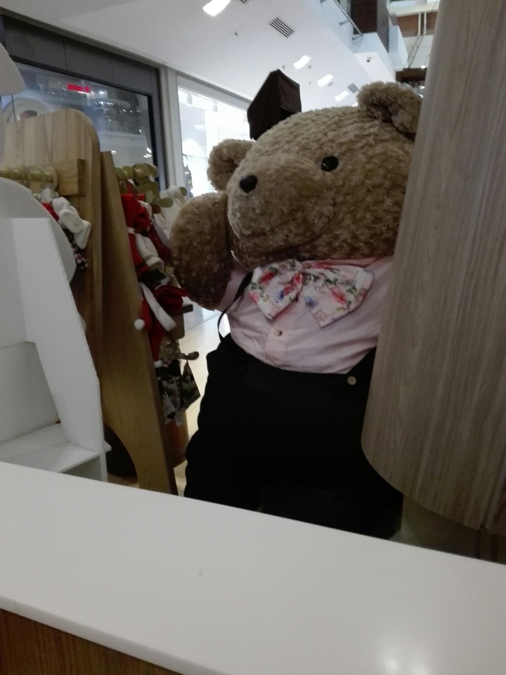 Big Bear saying Hello