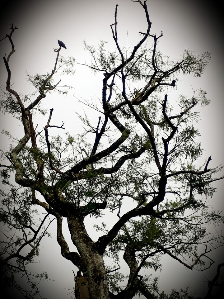 alone