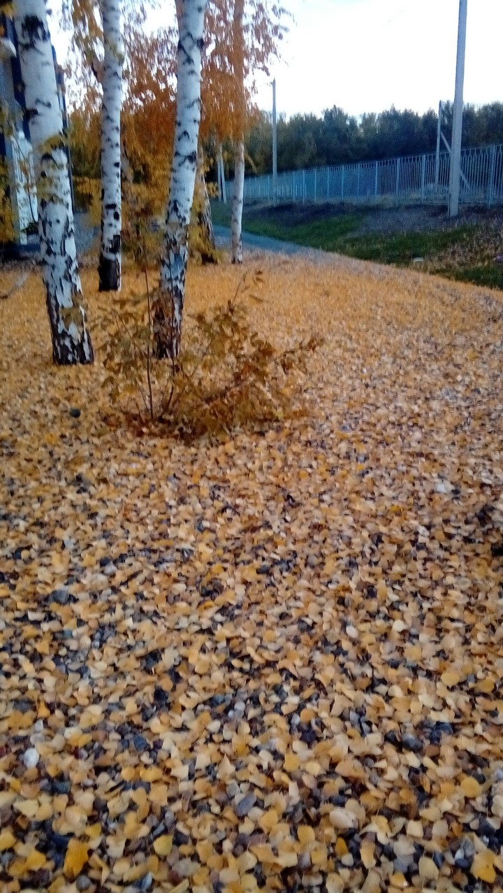 natur