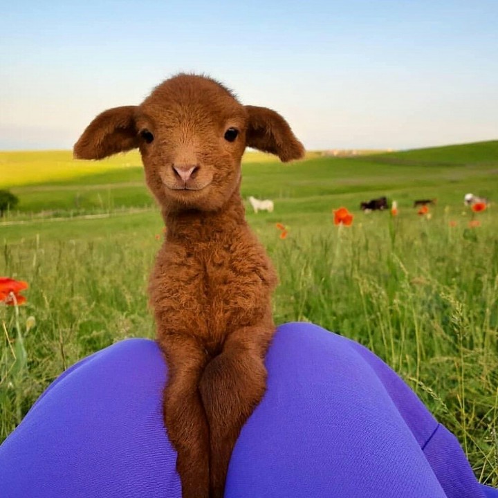 happiness