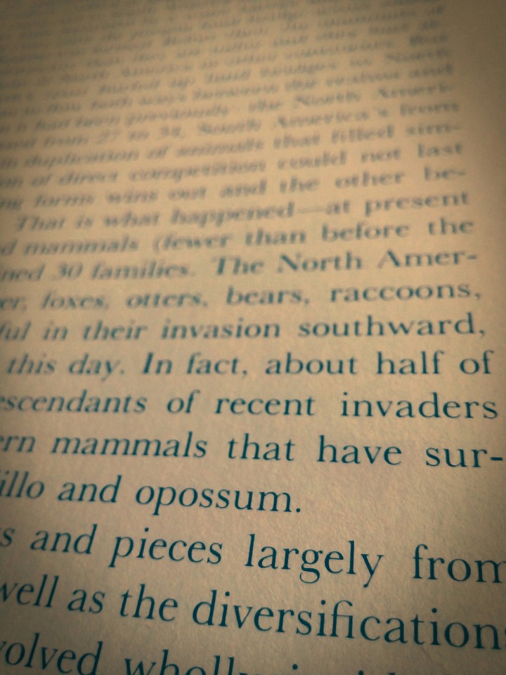 Lovely Book