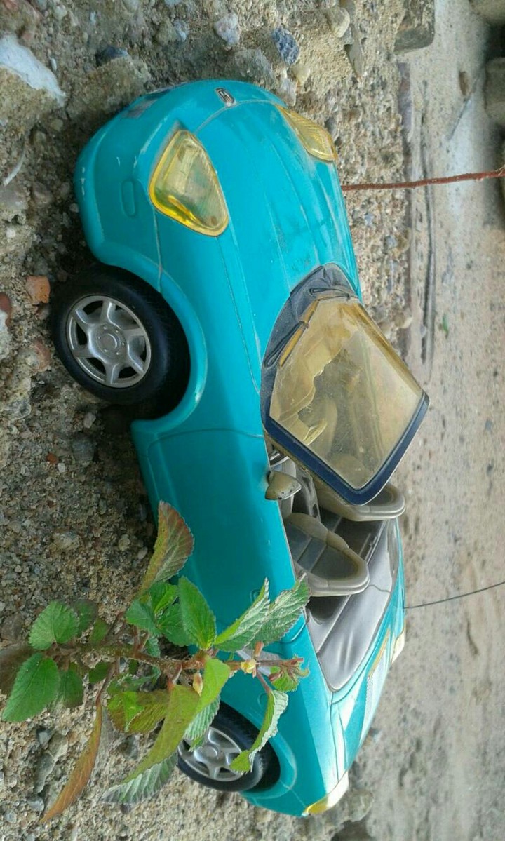 Remote Controlled Car.